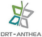 DRT-Anthea